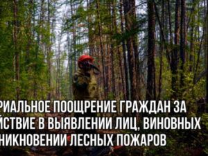 В Якутии установлено денежное вознаграждение за выявление поджигателей леса