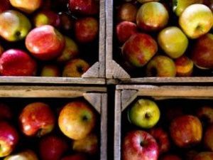 В аэропорту Якутска уничтожили запрещенные к ввозу фрукты из Китая