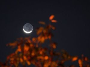 Гороскоп на 1 августа 2023 года: крупное приобретение и удовлетворение желаний