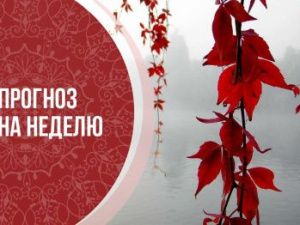 Фэн-шуй прогноз от восточного астролога Ольги Николаевой  на неделю