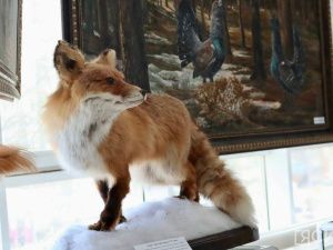 В Якутске открылась выставка трофеев «Охота и охотничьи традиции»