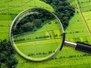 Онлайн-сервис «Земля для стройки» поможет выбрать участок