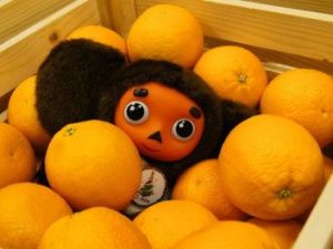 Борьба с весенним авитаминозом