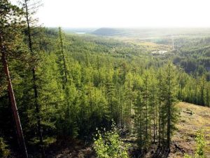 В Якутии проводятся работы по тушению 2 лесных пожаров