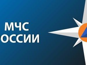 МЧС России разработаны правила профилактики и тушения пожаров на объектах защиты договорными подразделениями ФПС ГПС