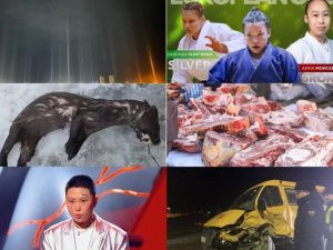 Топ 10 новостей: оптическое явление в Удачном, успехи на Кубке Европы и необычный улов рыбака