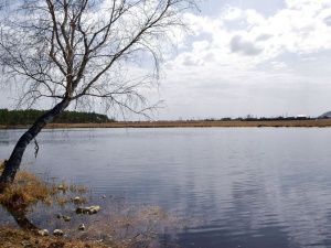 Владимир Федоров поручил усилить системную работу по санитарной очистке территорий