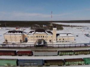 Устойчивая динамика роста перевозок ЖДЯ сохраняется