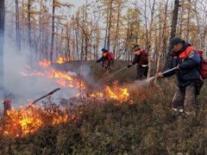 Количество лесных пожаров в Якутии сократилось до десяти
