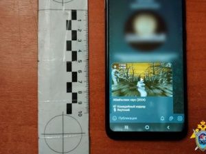 Незаконно опубликовавший в своем канале 10 якутских фильмов мужчина предстал перед судом