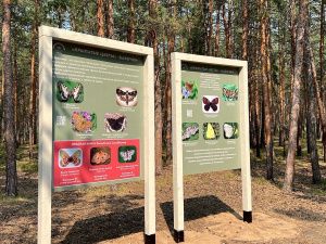 В Парке культуры и отдыха Якутска появилась экологическая тропа