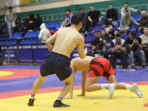 Борцы Тимур Николаев и Никита Софронов завоевали титулы абсолютных чемпионов турнира Ноговицыных