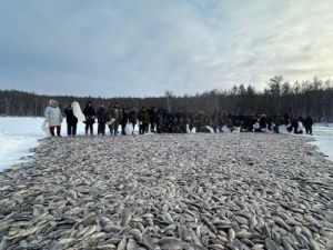 Фотофакт: вот это улов!