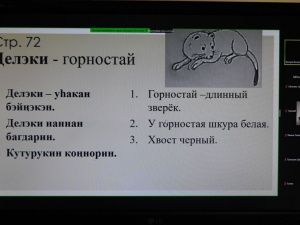 Прошел открытый онлайн-урок эвенкийского языка