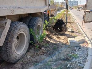 Вандалы из «Сахатрасстроя» проехались колесами по саженцам акации и яблони, высаженным «Зеленым раем»