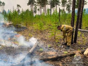 Режим ЧС из-за лесных пожаров ввели в Верхоянском районе