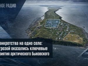 Два банкротства на одно село: под угрозой оказались ключевые предприятия арктического Быковского