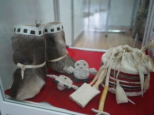 Открылась межрегиональная выставка «Мир Арктики»