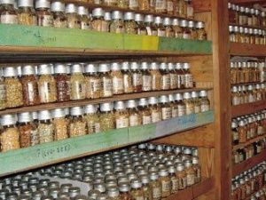 Опыт Якутии по хранению семян в толще многолетнемерзлых пород приобрел особую важность