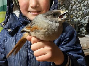 Школьник из Якутии удивил зрителей федерального телеканала своим талантом имитировать голоса птиц