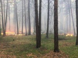 Евгений Григорьев: «На огонь вблизи Якутска будет пущен встречный пал»