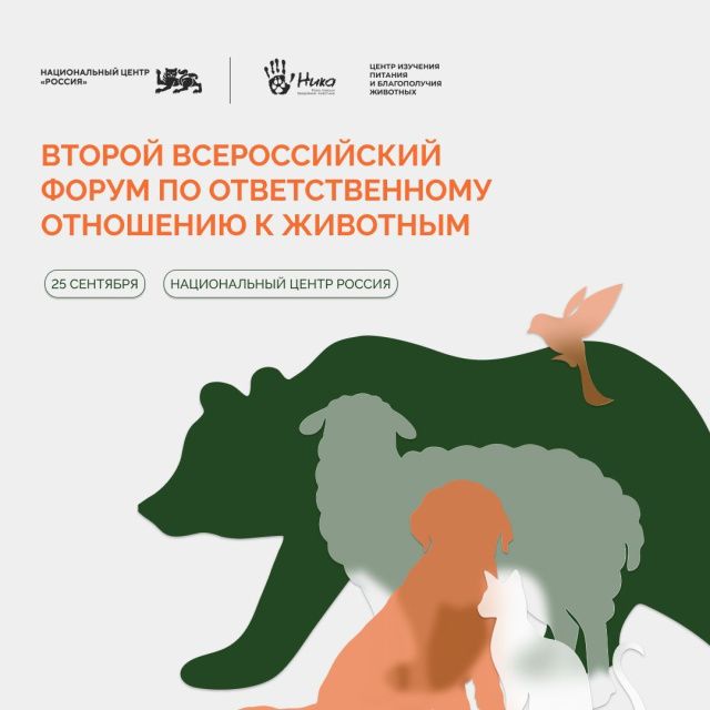 В России ищут лучшие проекты, меняющие отношение общества к животным