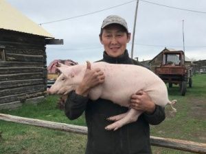 Хангаласским семьям в рамках Года развития семейной экономики поступили свиньи