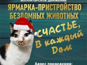Якутян приглашают посетить зимнюю ярмарку-пристройство бездомных животных «Счастье в каждый дом»