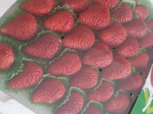 Клубничная лихорадка: Смертельный улов из Китая?