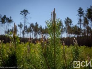 Этот день в календаре. 30 августа