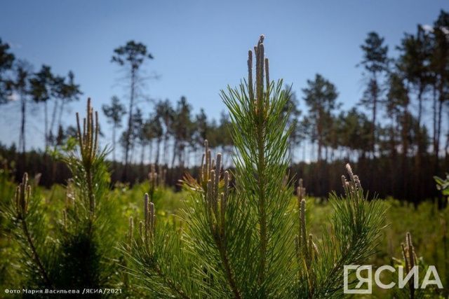 Этот день в календаре. 30 августа