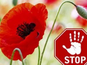 В Якутии проходит оперативно-профилактическое мероприятие «Мак-2021»