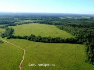 Информация о «дальневосточном гектаре» размещается на сайте Минимущества Якутии