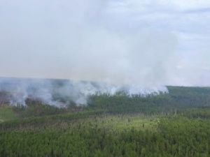 Пропавший на тушении лесного пожара якутянин нашелся