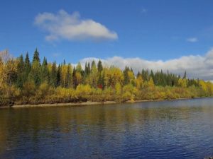 Потерявшийся в якутской тайге мужчина сам вышел к людям