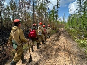 Борьба с природными пожарами продолжается