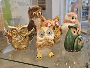 В SMART-библиотеке Якутска открылась выставка, посвященная совам и филинам