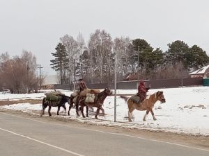 В Якутию вернулись путешественники-коневоды, которые на якутских лошадях добрались до Монголии