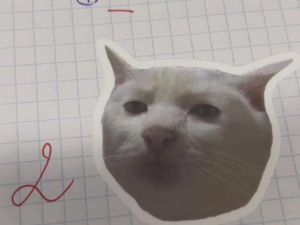 Якутская учительница с котонаклейками: «Креативность и творчество нужны в школе»