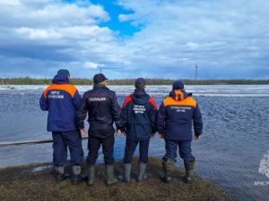 27 частных жилых домов затоплено паводком на реке Лене