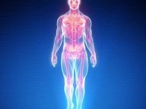 Продолжается скрининговый проект «Онкопоиск»