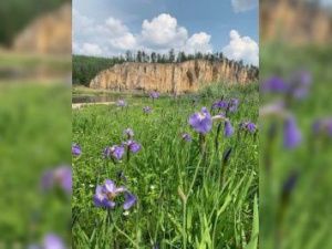 В Якутии кратковременные дожди, местами с грозами