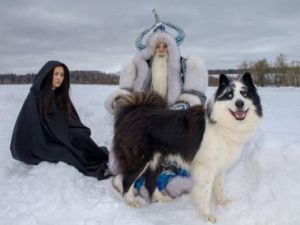 Якутская лайка завоевала звание «Гордость России» на международной выставке собак «Евразия-2019»