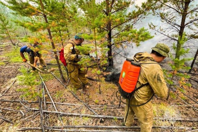 В Якутии за сутки потушили почти половину действующих лесных пожаров