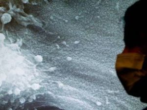 В Ухане ответили на сообщения об искусственном создании коронавируса