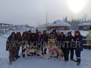 В Томпонском районе ликвидировали стаю волков, нападавшую на табуны лошадей