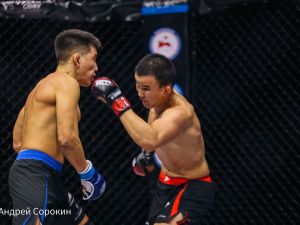 Четыре якутских бойца одержали победы на Кубке Ил Дархана и Eagle FC