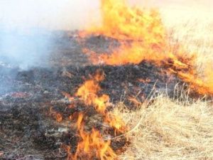 Страшные пожары: Один человек погиб, еще двое пострадали