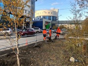 В Якутске модернизируются пешеходные переходы возле учебных учреждений