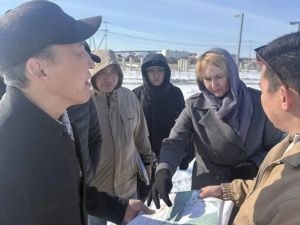 Мэрия Якутска планирует реализовать проект по высадке деревьев-крупномеров